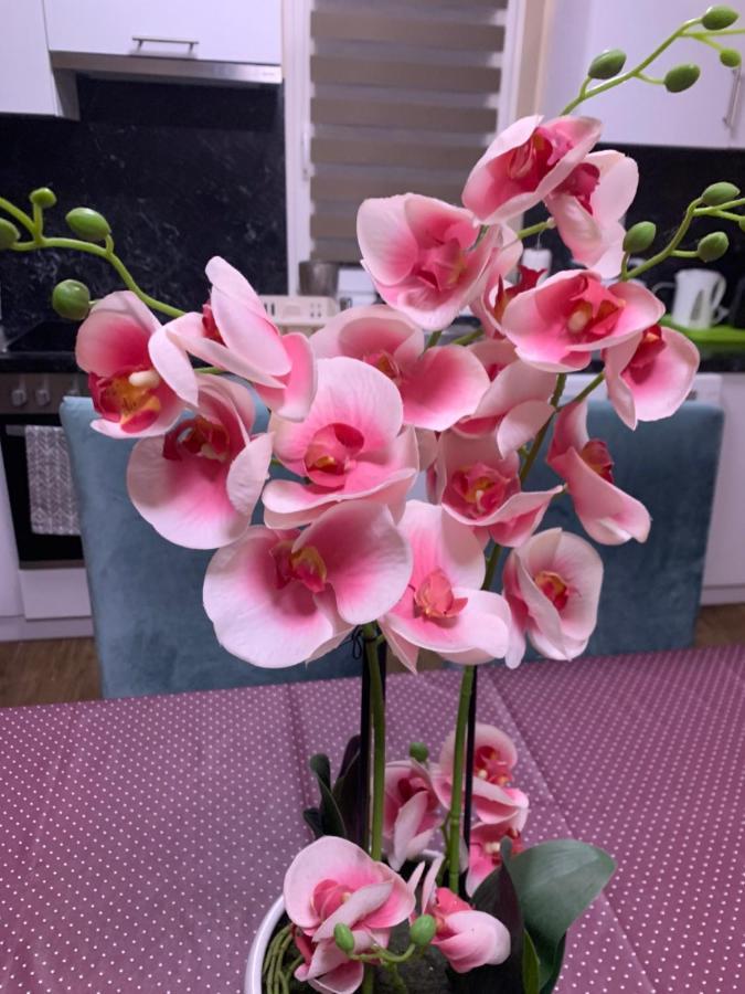 Toscana 3 德布勒森 外观 照片